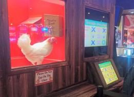 Paragon Casino Resort Invites Guests to Play Tic-Tac-Toe Against a Live Chicken