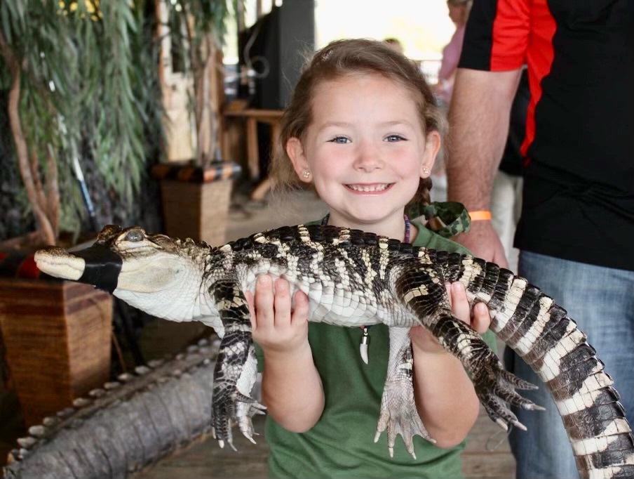 Paragon Casino Resort brings back Gator Feeding Shows in “Gator Bayou” Lobby